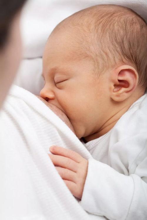 母乳 喂奶 在线观看,母乳喂养的温馨瞬间  第3张