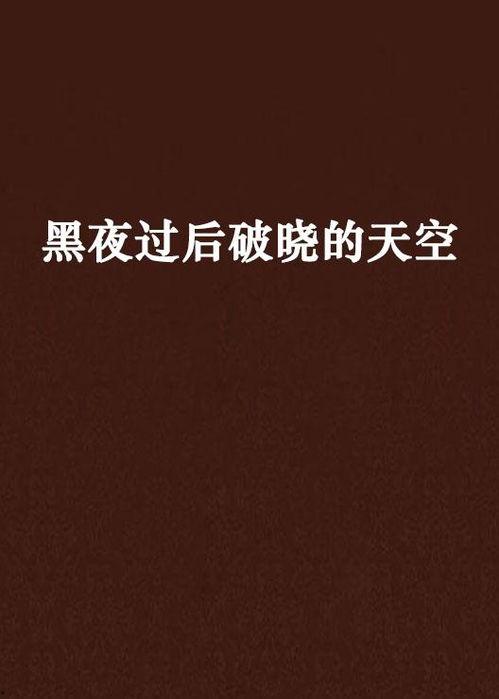 黑夜过后 在线观看,探寻光明与希望的情感之旅  第3张